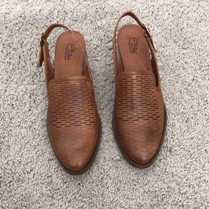 Walking Cradle Elite Brown Loafers